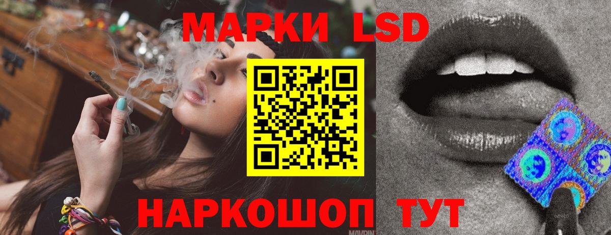ЛСД экстази кислота  LSD-25 экстази ecstasy  Бердск  Вход с VPN 