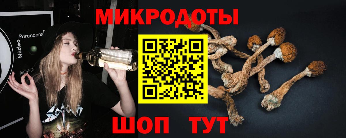 Бердск  Галлюциногенные грибы Cubensis  Вход с VPN 